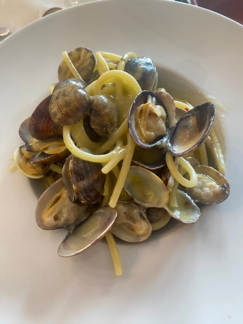 Antico Orcio