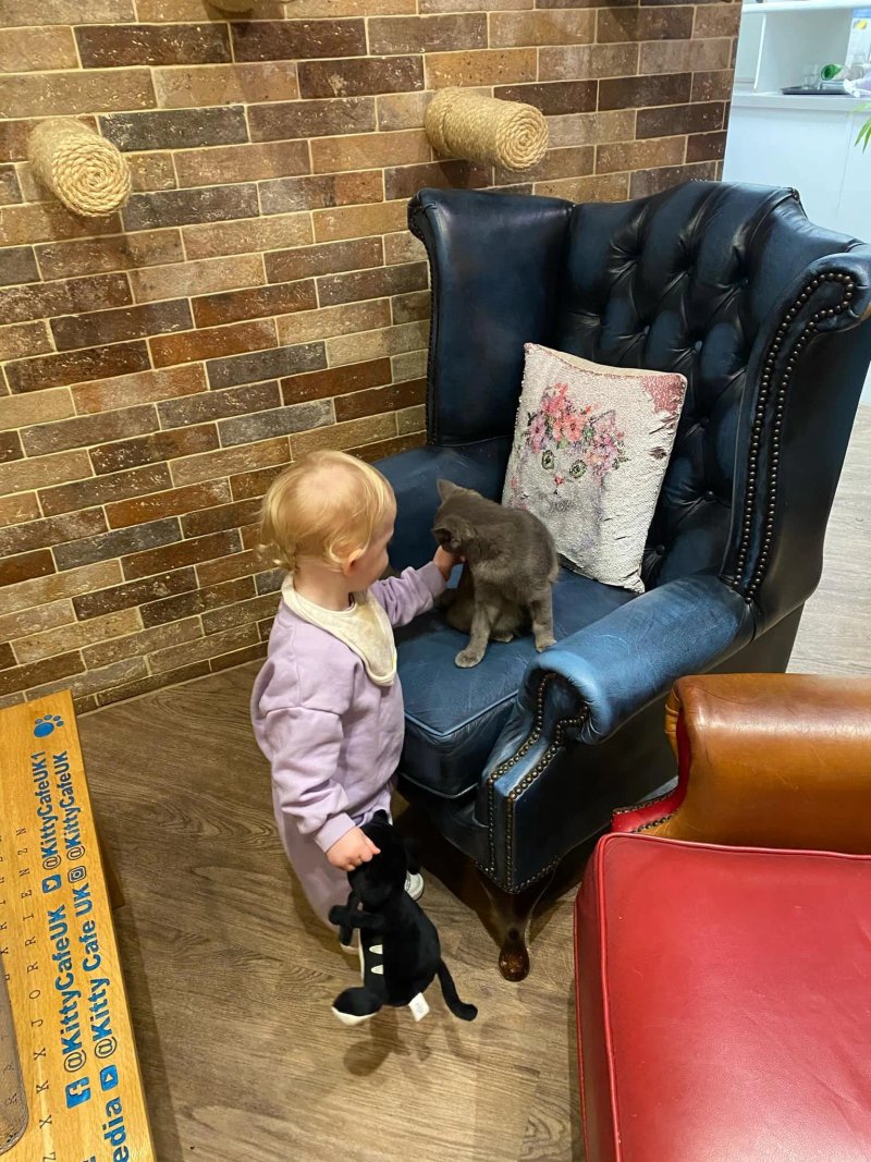 Kitty Cafe Leeds