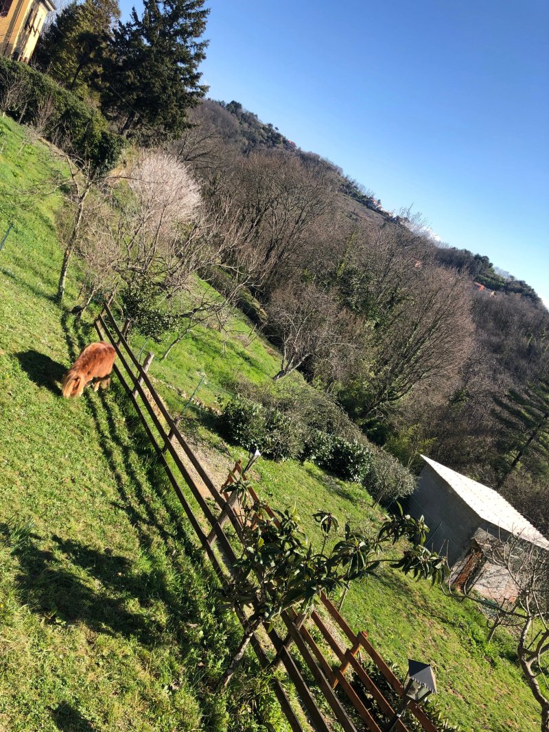Agriturismo Mamma Chica