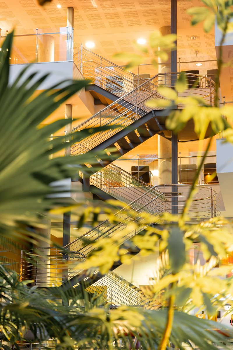 Hotel Port Elche