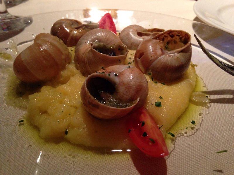 Trattoria Caissa