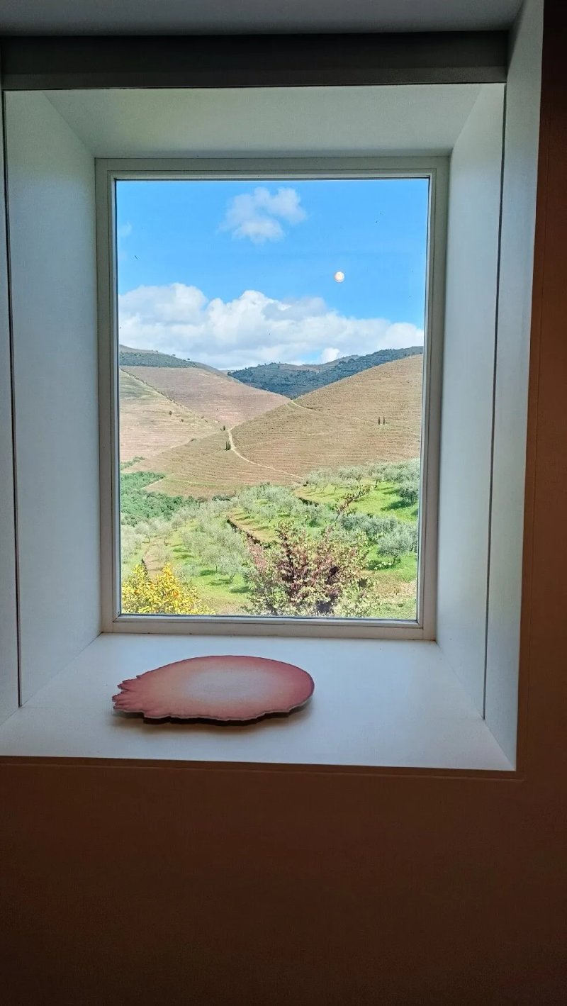 Ventozelo Hotel & Quinta