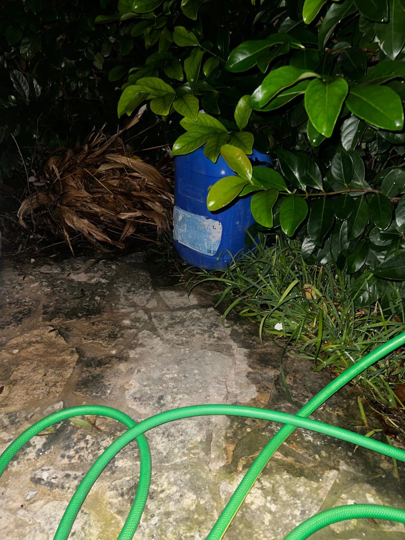 Il Giardino di Lisa
