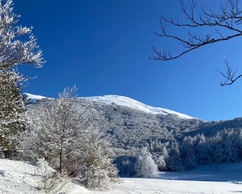 La Montanara