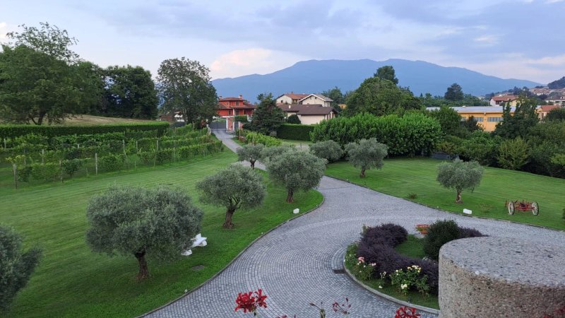 Tenuta La Vigna