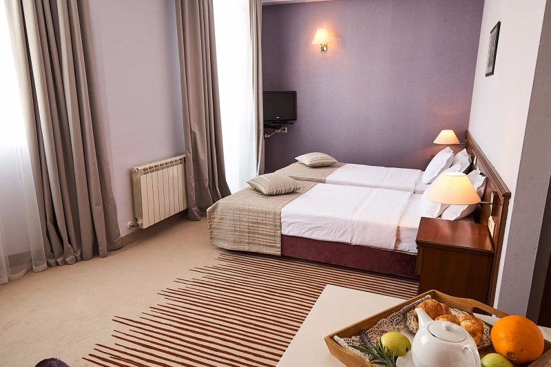 Hotel Lion