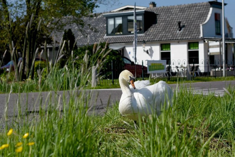 De Landerij