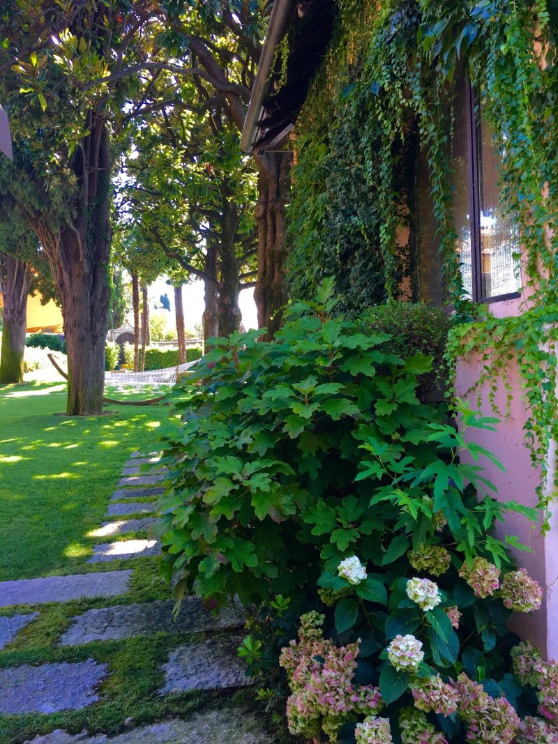 Villa Paradiso Clinical Beauty