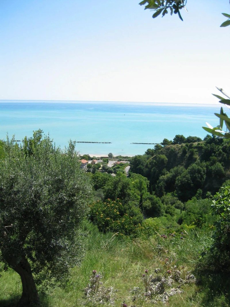 Agriturismo Casa del Sole