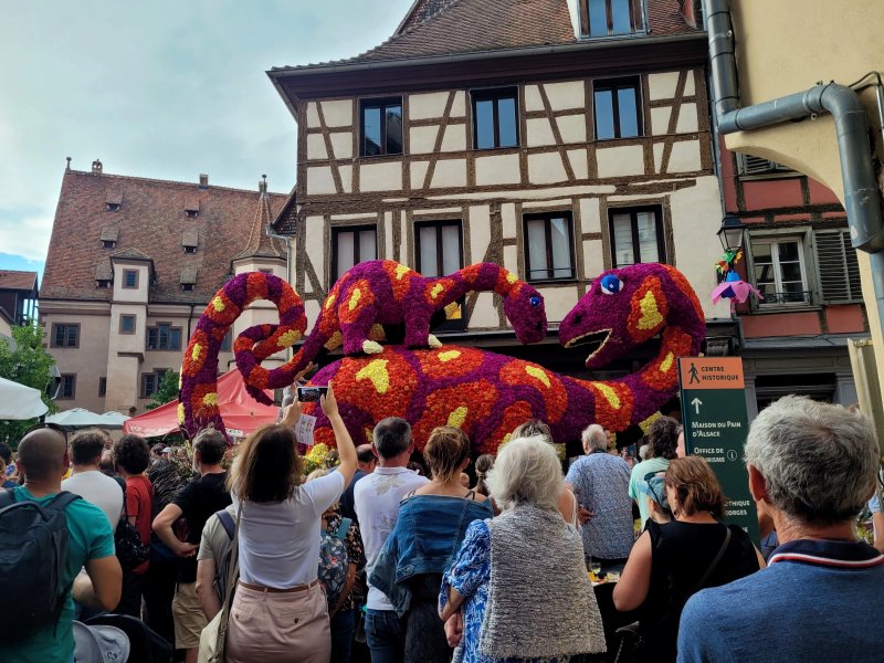 Elsass Faller Clothilde & Edouard