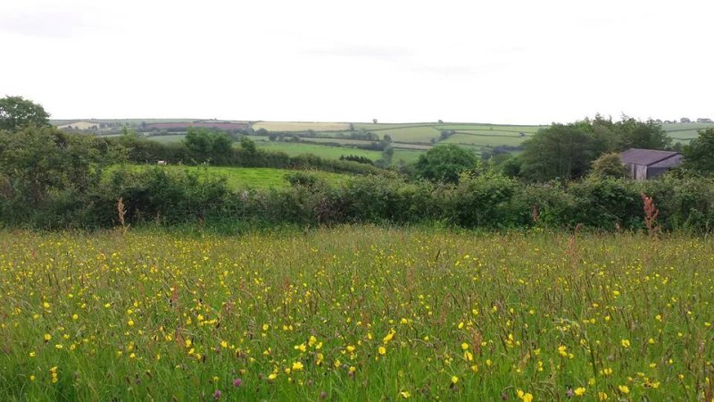 Hillhead Farm