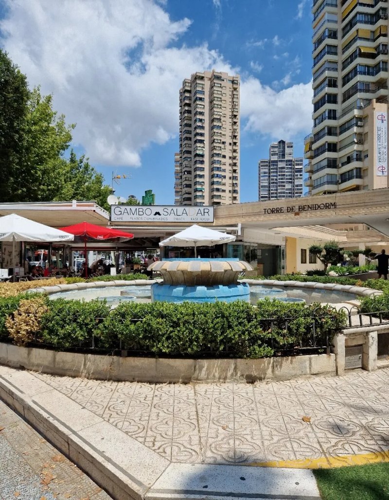Avenida De Europa Fountain
