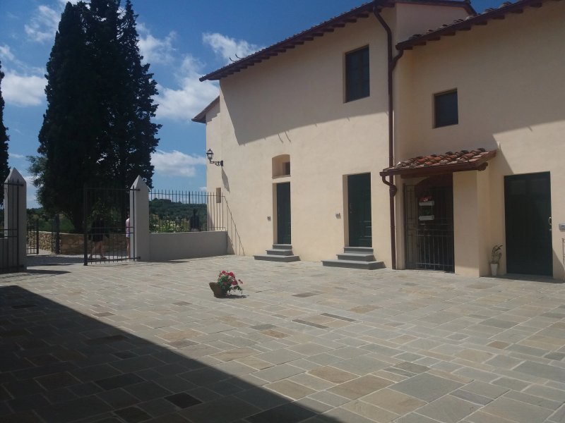 Olmofiorito