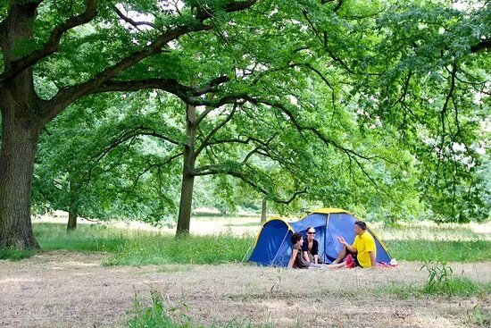 Aldenham Country Park