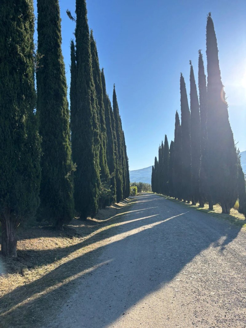 Fattoria Pagnana