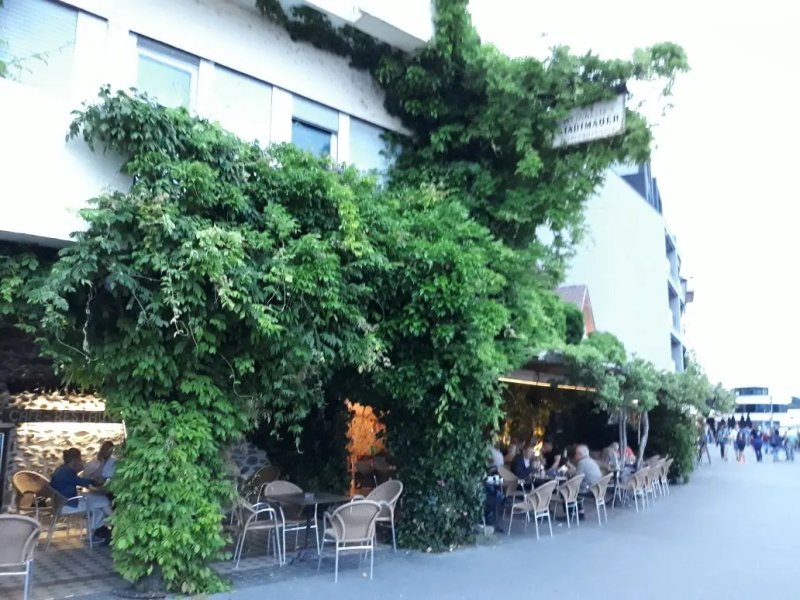Weinkeller Stadtmauer