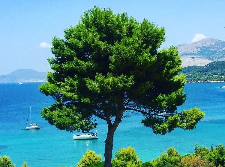 Thalassa Boutique Hotel Kefalonia