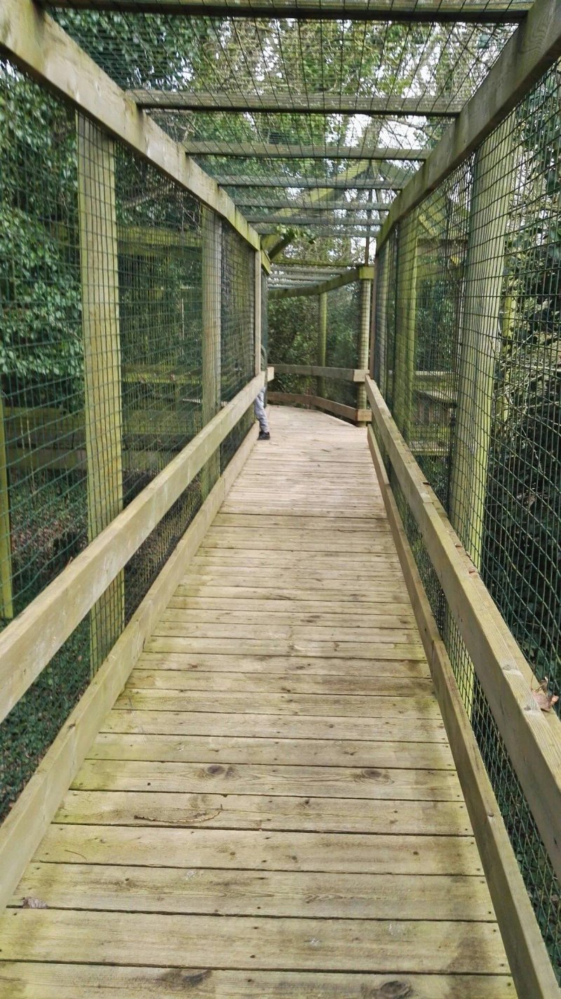 Thames Valley Adventure Playground