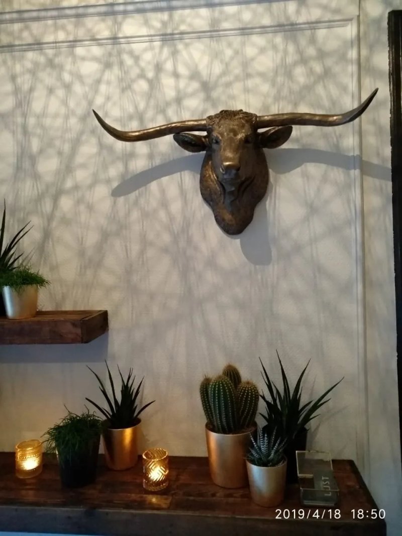 Lust Bold Bistro