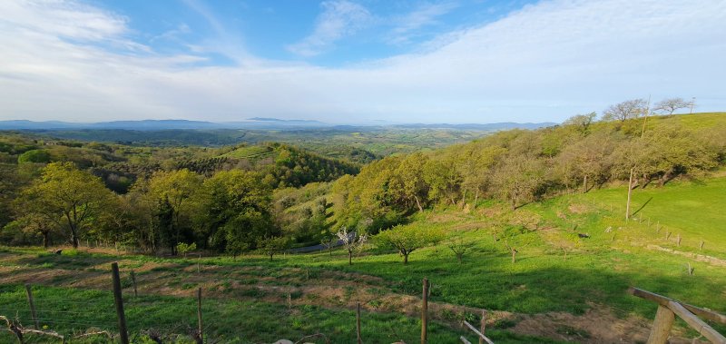Agriturismo Podere l'Aione