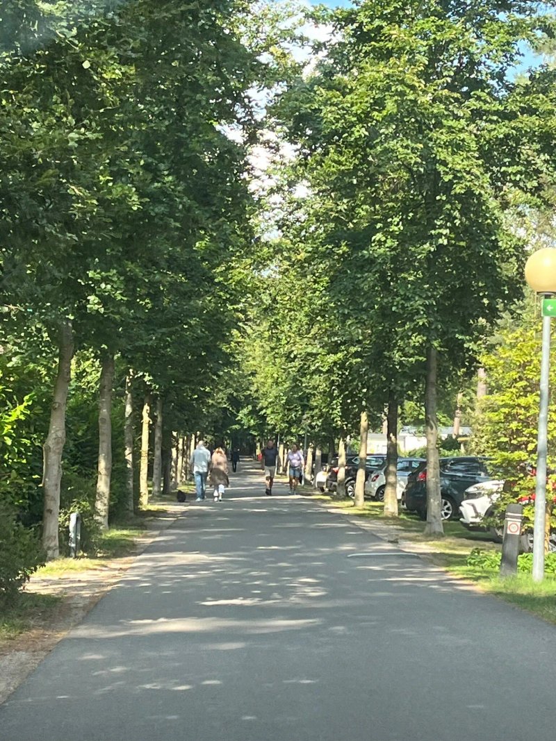 RCN het Grote Bos