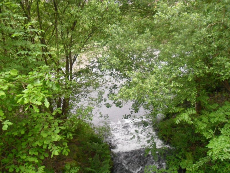 Dare Valley Country Park