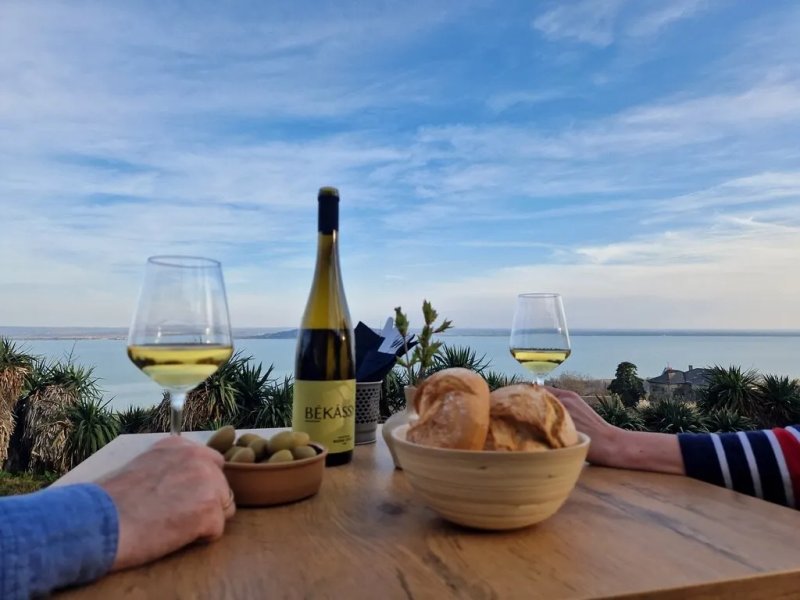 Bekassy Winery