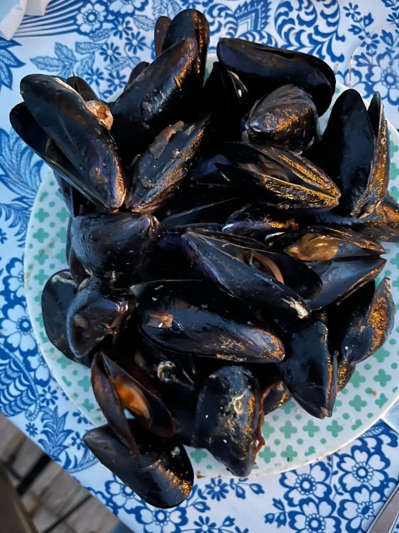 Le Petit Mas Meze Bassin de Thau