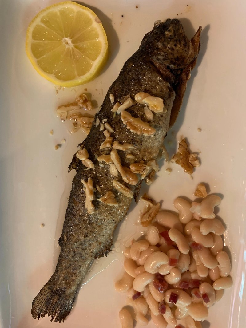 El Moli de la Barita