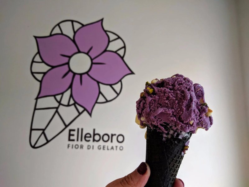 Elleboro Fior di Gelato