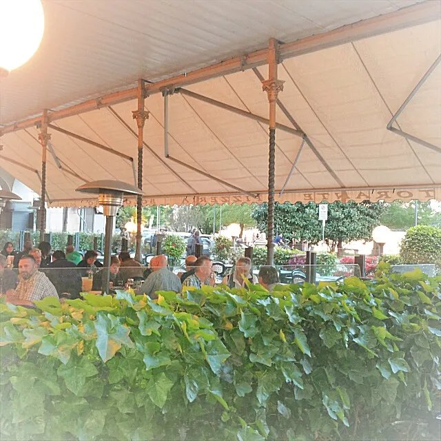 Ristorante Pizzeria Bolongaro