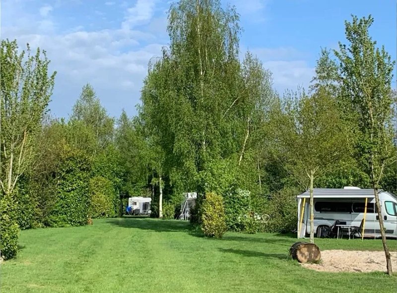 Zen Ranch