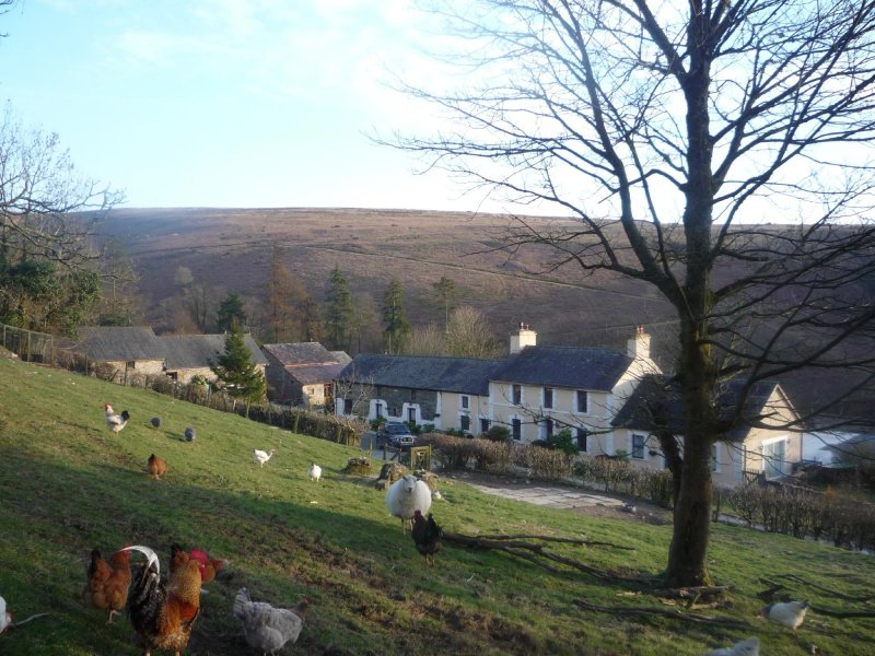 Cwmiar Farm Holiday Cottages
