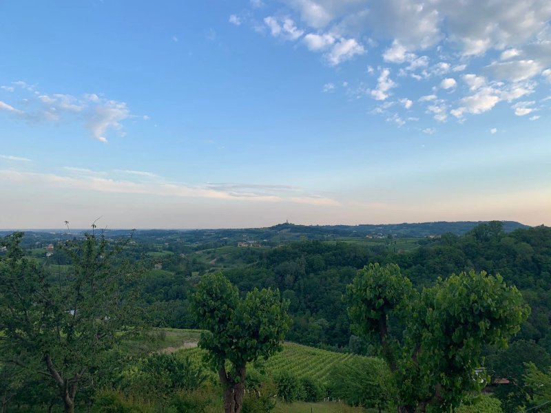 Agriturismo Le Colline Cozzuolo