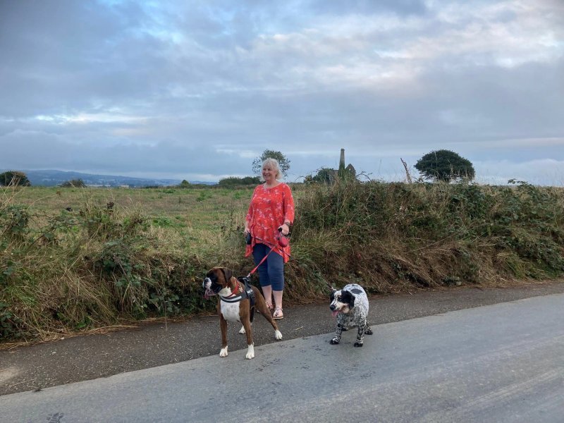 Carnmoggas Holiday Park