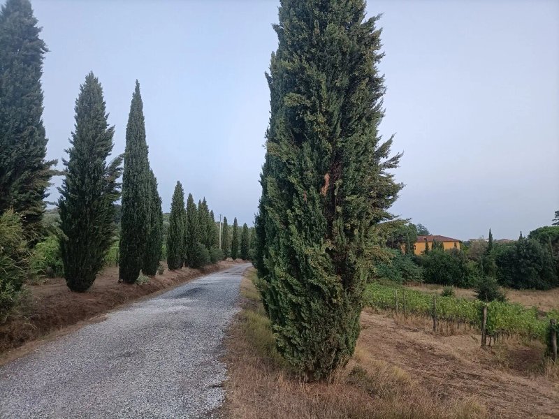 Agriturismo Tenuta Le Colonie