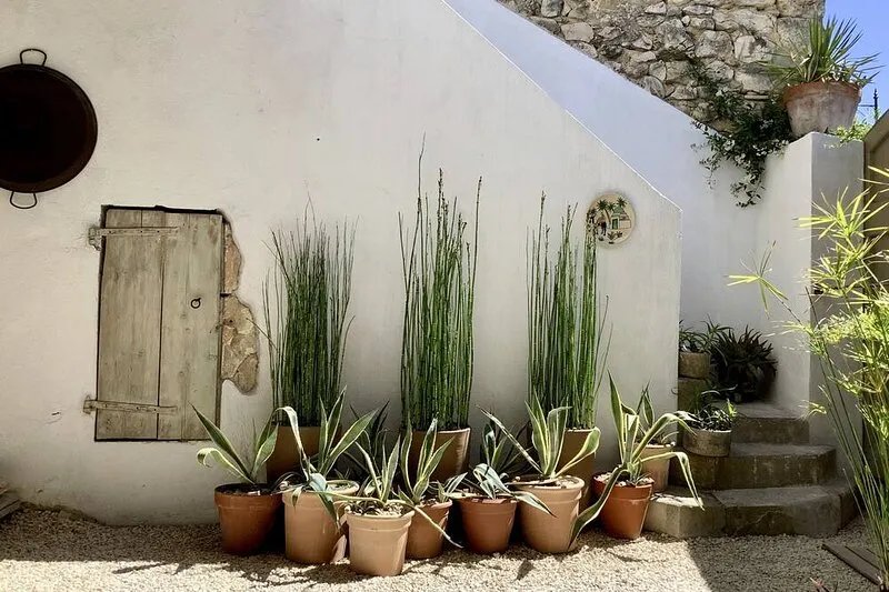 La Flânerie,  Experience A Taste of Freedom in The South of France