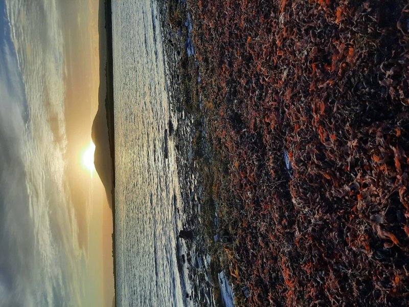 Mannix Point Camping and Caravan Park. (Mortimer's)
