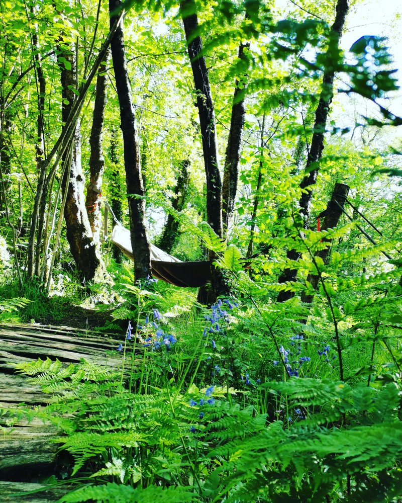 Mallinson's Woodland Retreat