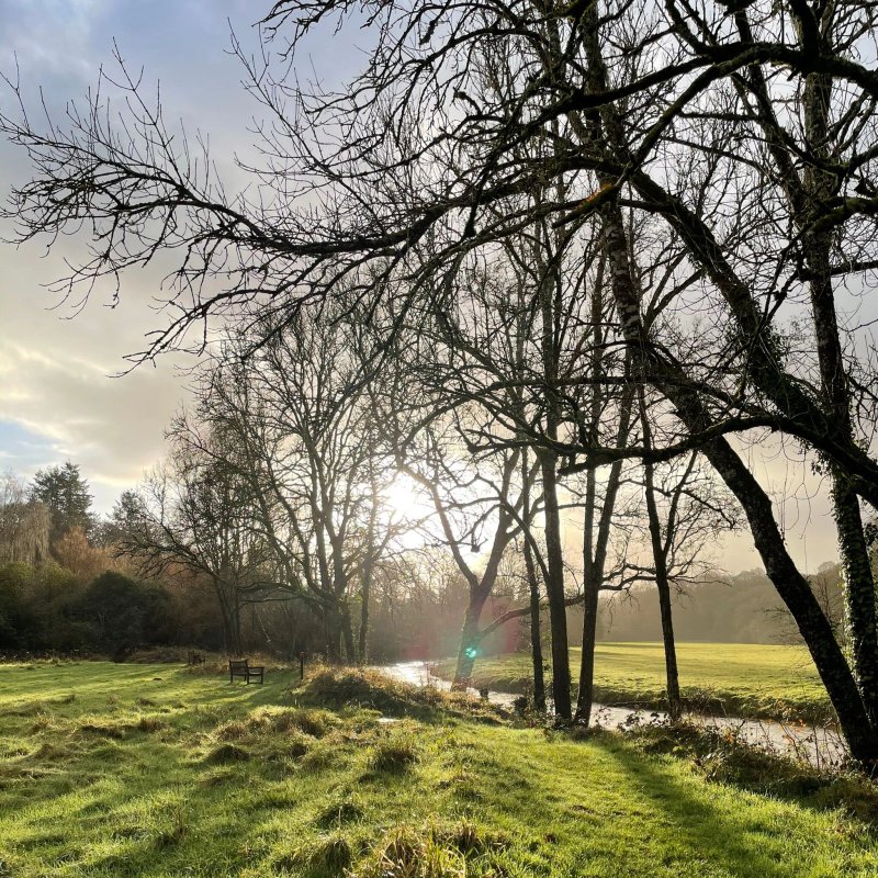 The Fox & Hounds Country Hotel