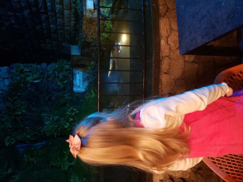 The Fishpond