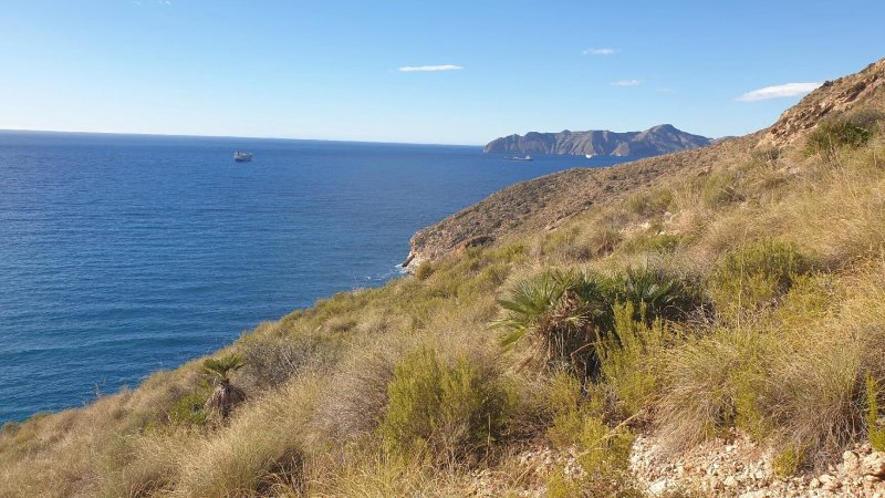 Sendero Del Mediterraneo