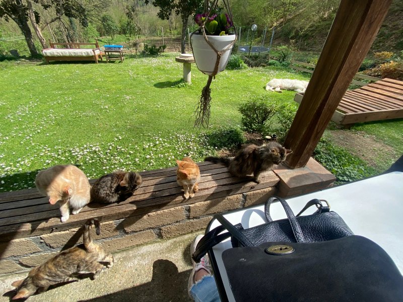 Agriturismo Il Molinaccio al Rio Chiaro