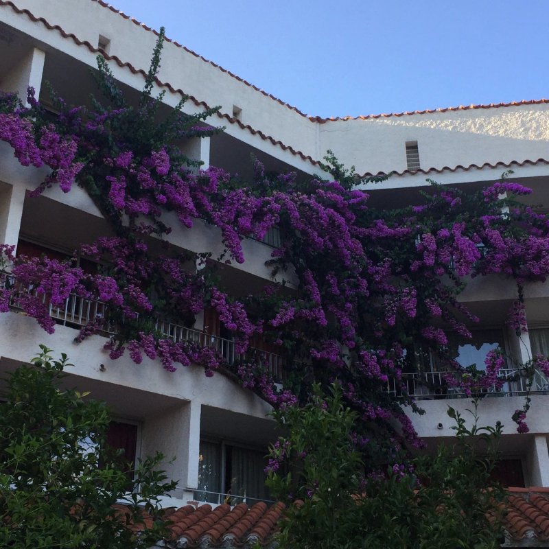Hôtel du Domaine du Mas Blanc by Popinns