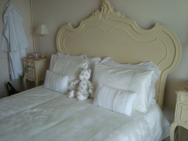 Lilly's Pad