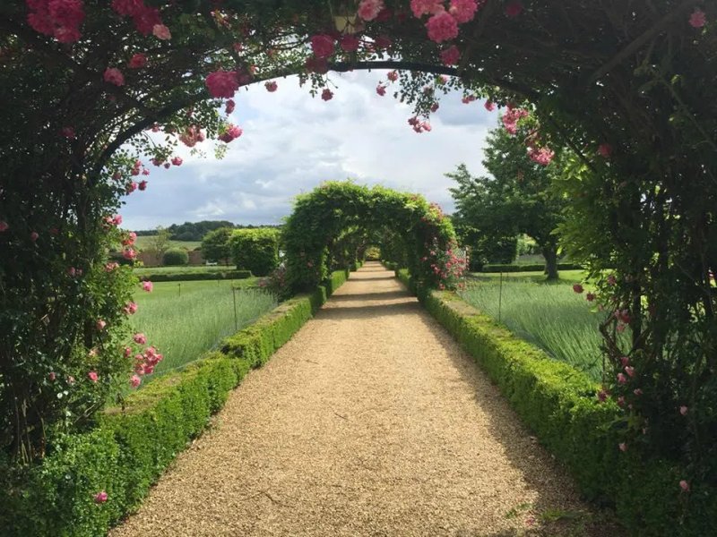 Grinling Gibbons Restaurant at Stapleford Park