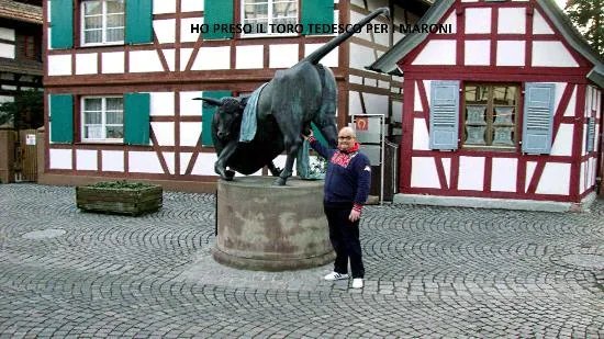 Hotel Landgasthof Schwanen