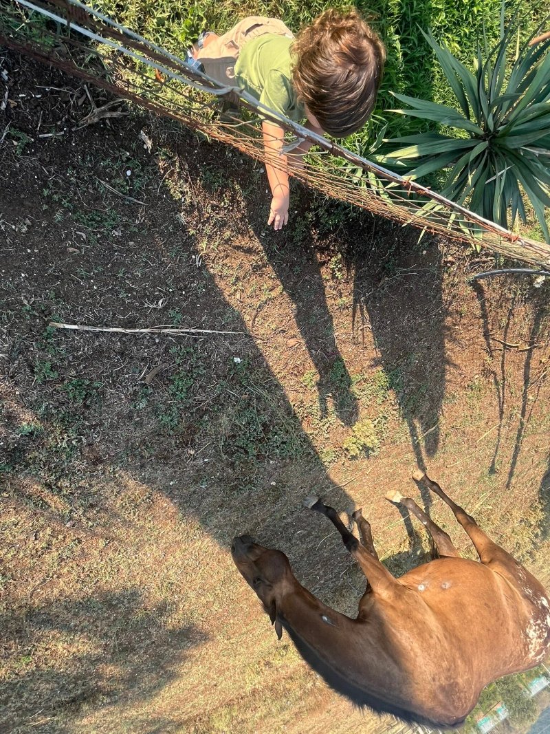 La Tenuta del Campo di Sopra