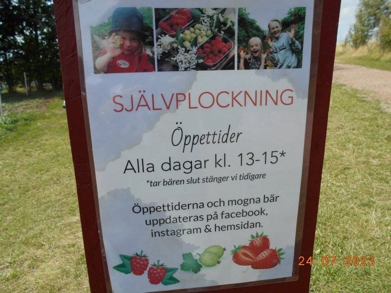 Hallongarden