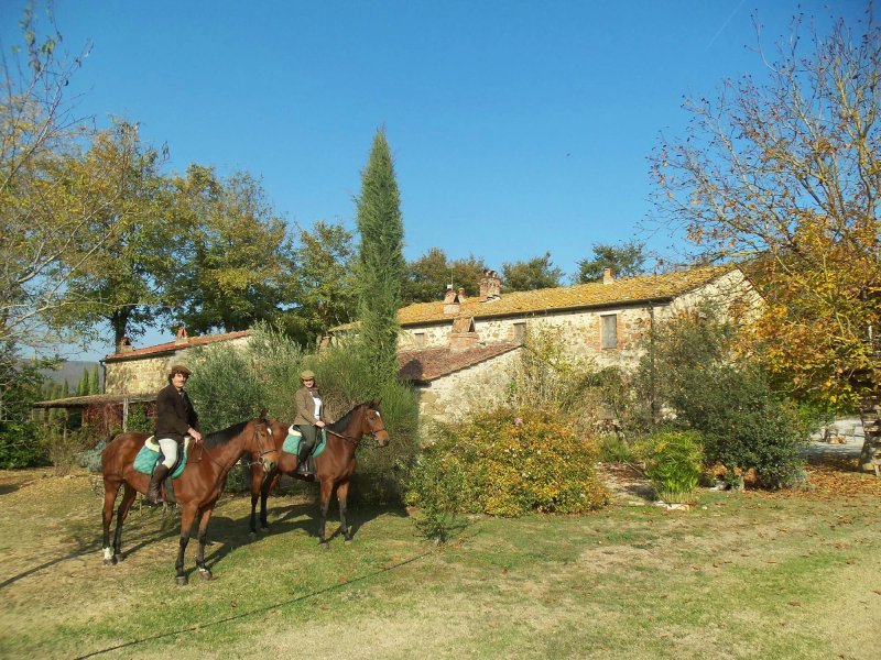Agriturismo Centro Ippico della Berardenga